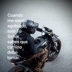 Meet your Posher, Darian leonard